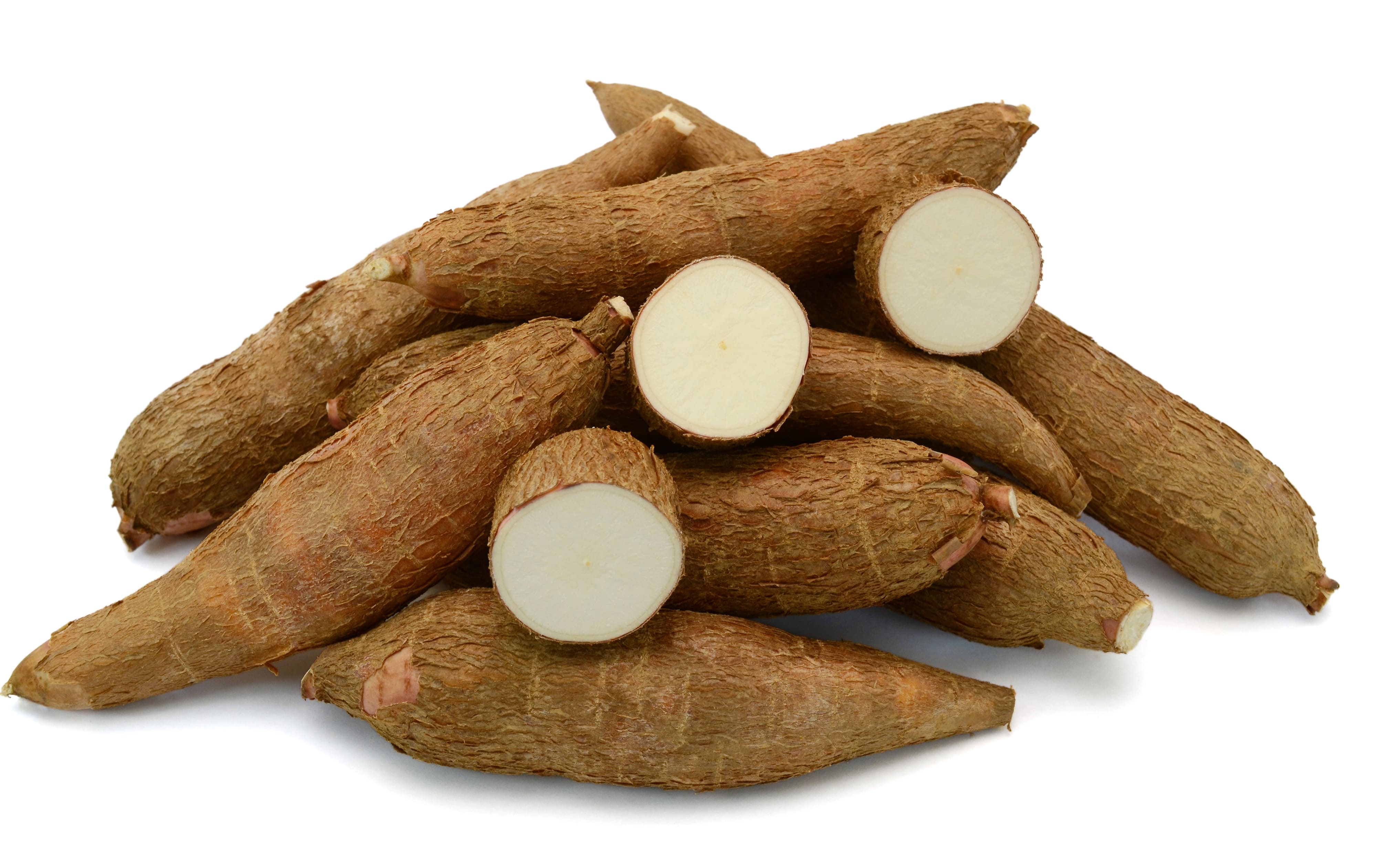 Cassava Image